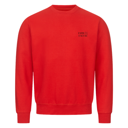 Sweatshirt Rot